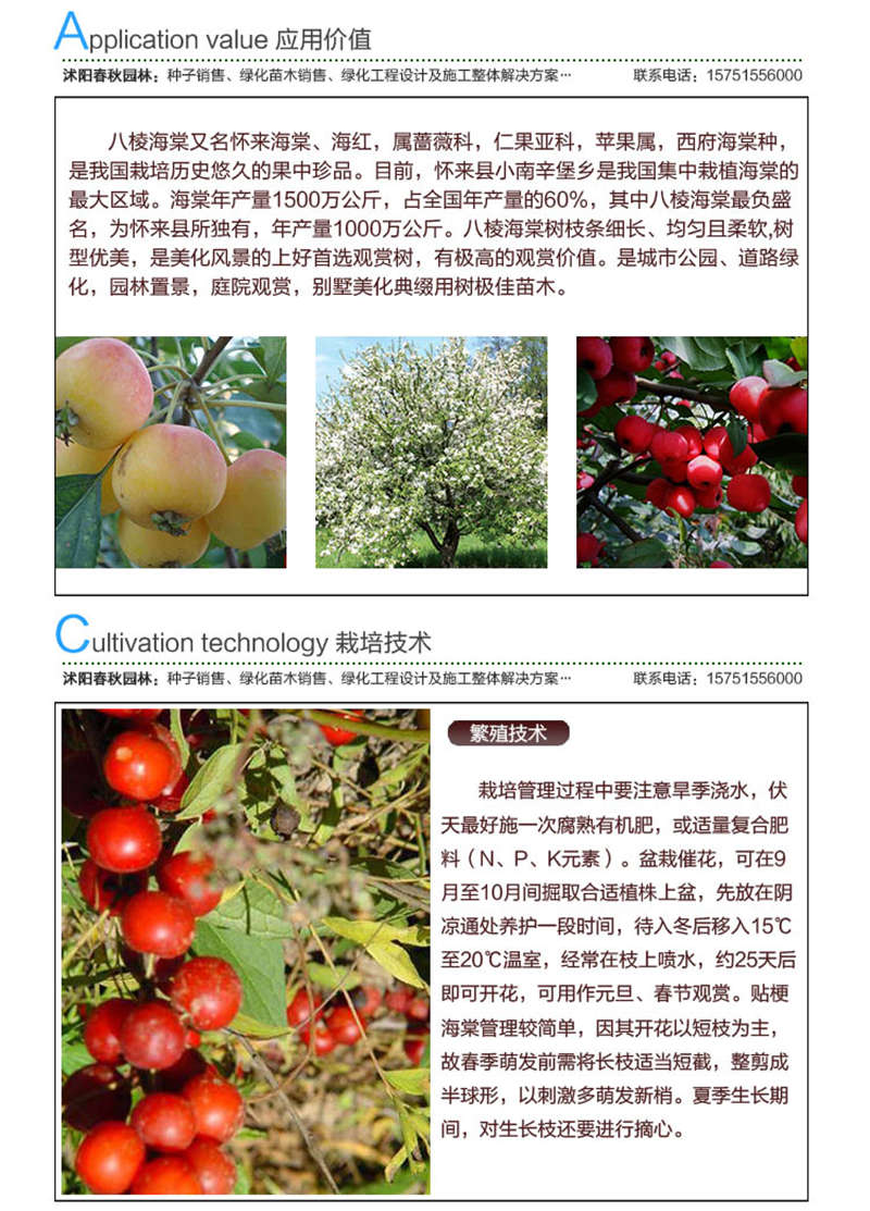八棱海棠種子應用價值及種植技術